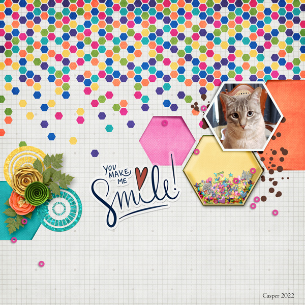January 13_Shaker Box