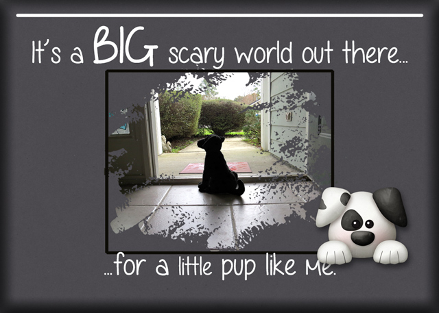 January 14: Photography Technique Silhouette - ATC-2020-005-It's-a-Big-Scary-World