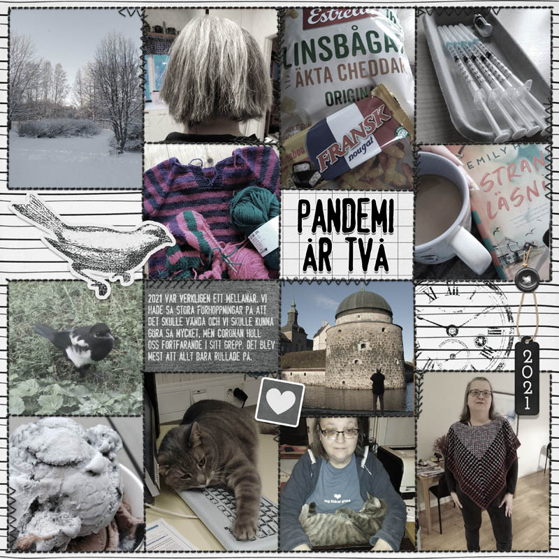 January 15 Year In Review - Pandemic Year Two