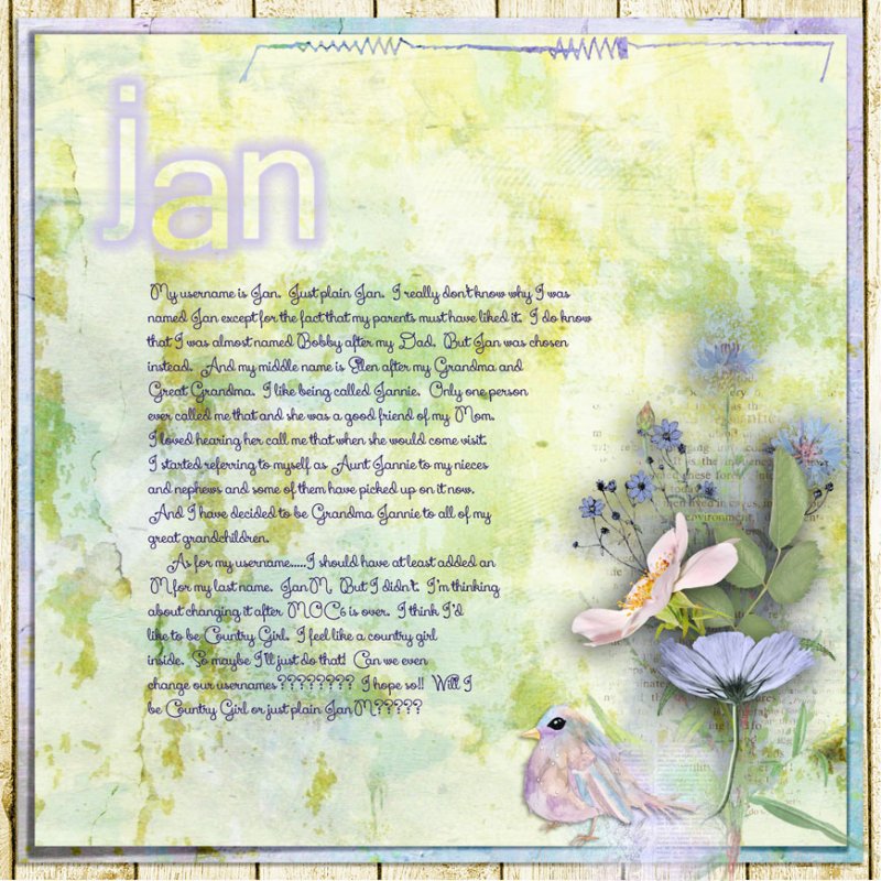 JANUARY 17 - USERNAME (JOURALING)