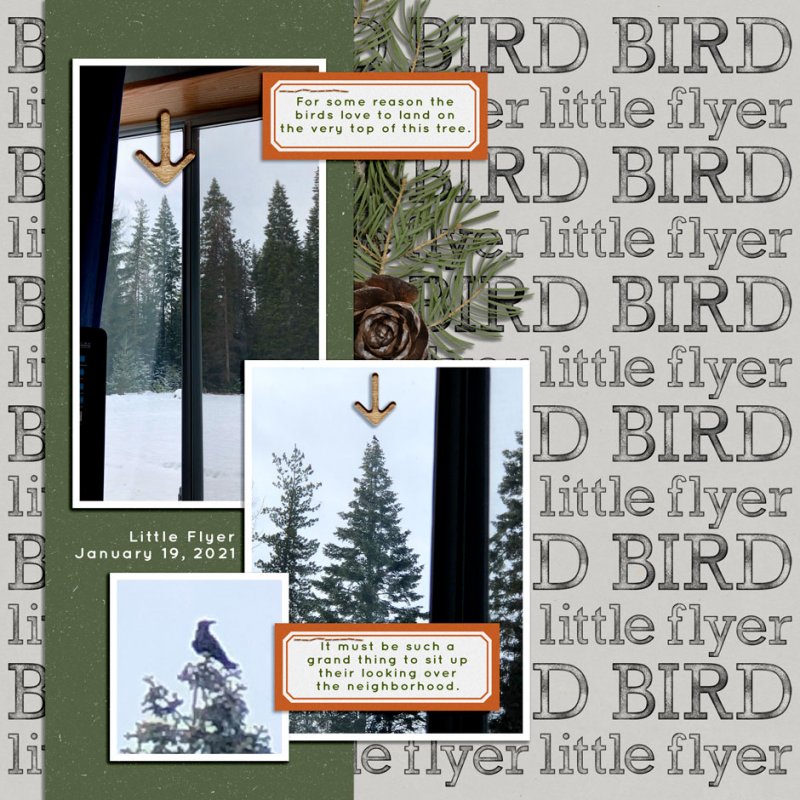 JANUARY 19 - CREATE A STAMPED BACKGROUND