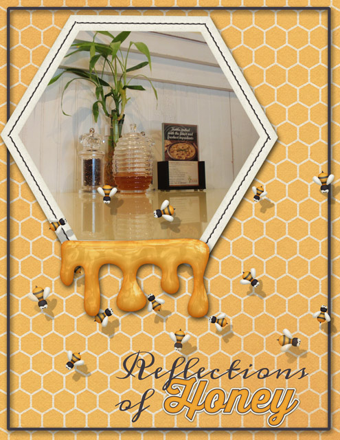 January-19-Photography-Challenge-(Reflection)-Reflections-of-Honey