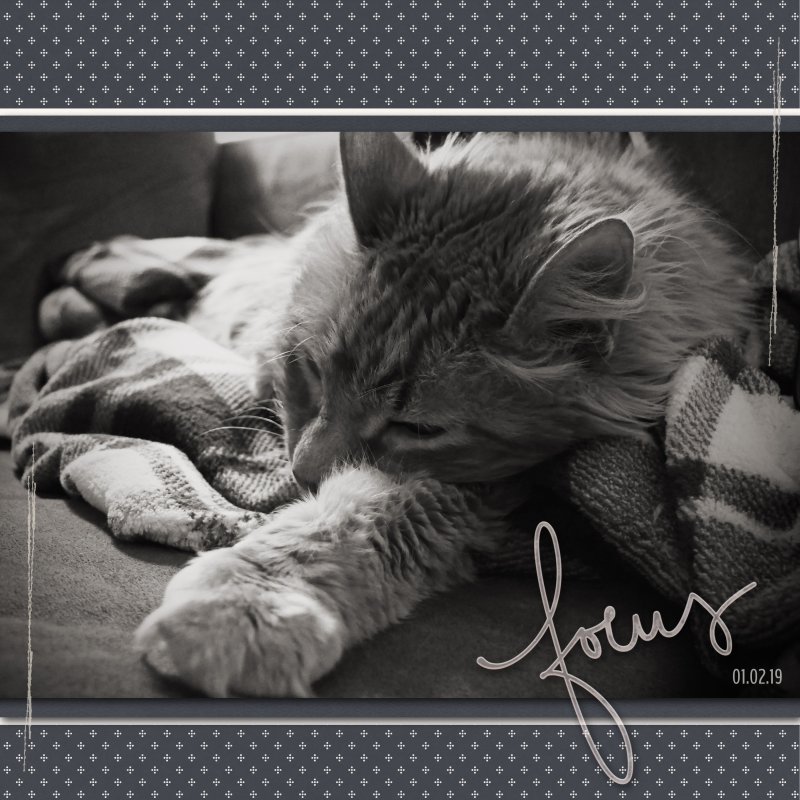 January 2 - DOF