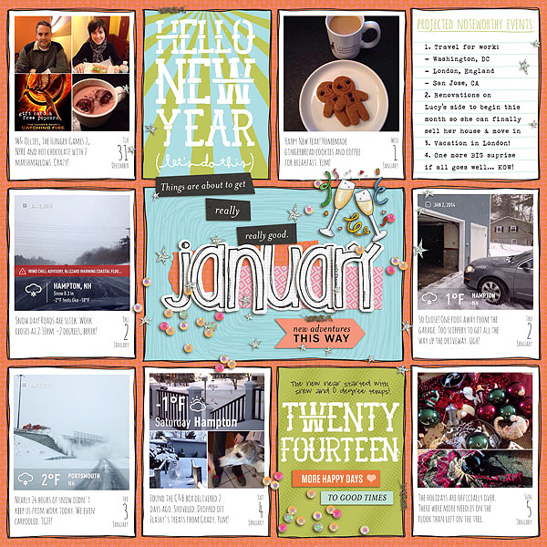 January 2014 Review p1