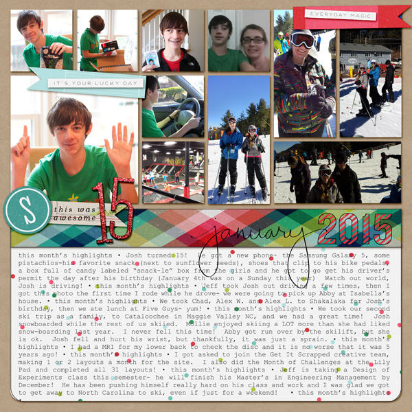 January 2015-in review