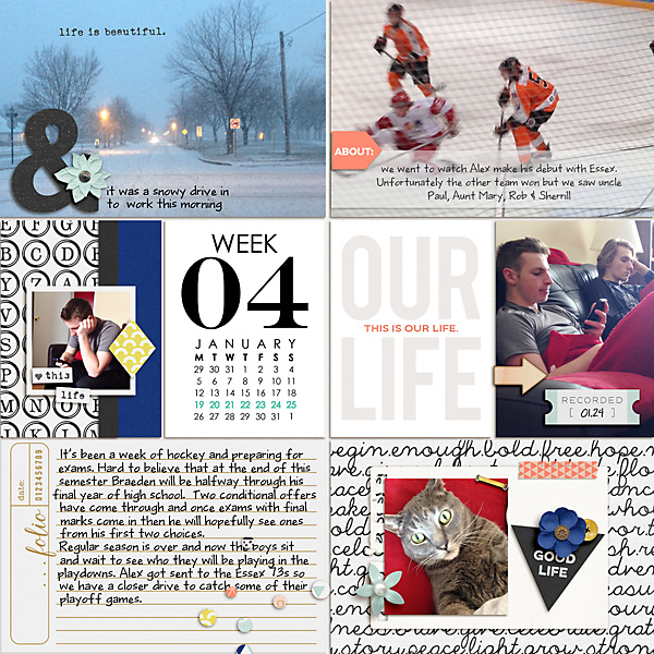 January 2015-week 4