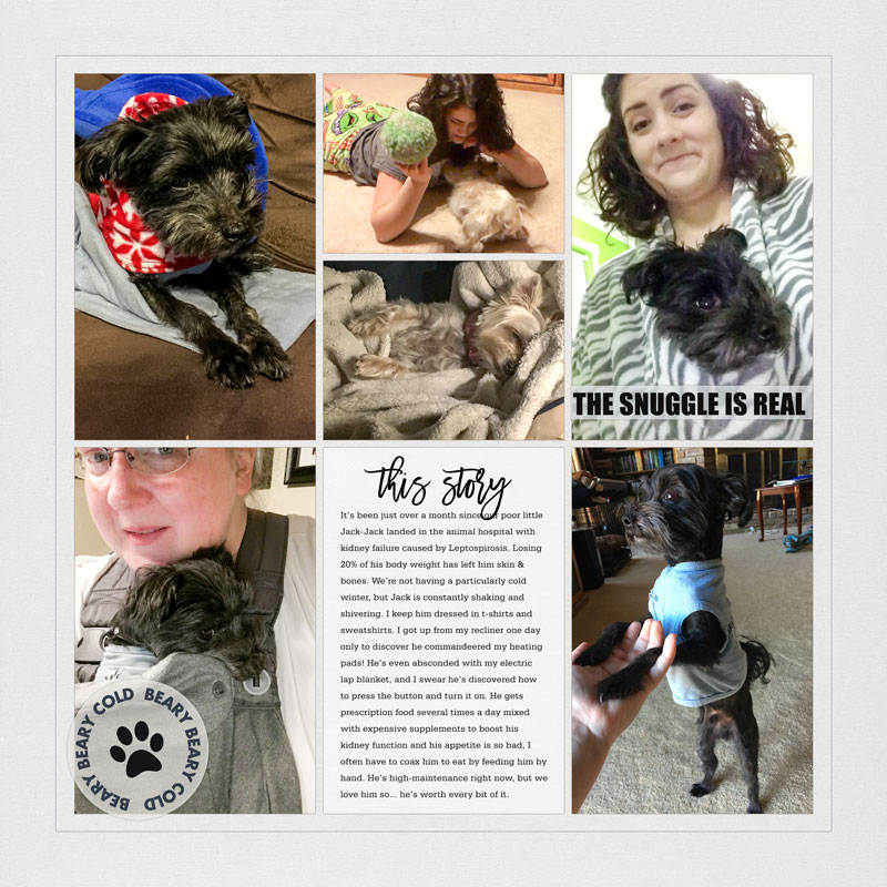 January 2016, p3 (Key Moments)