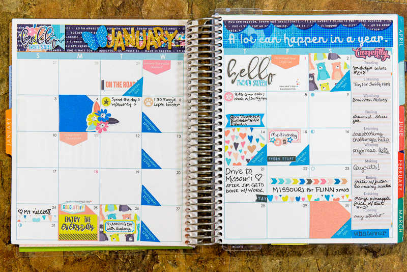January 2016 Planner Monthly View