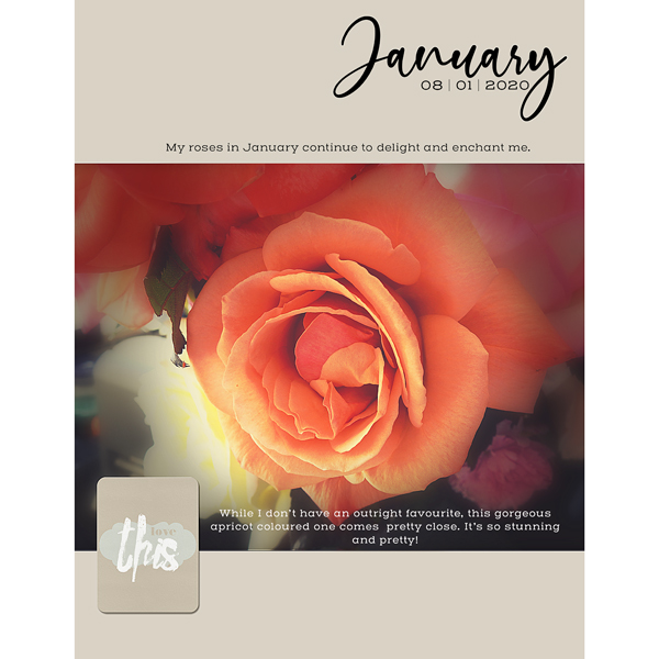 JANUARY 2020 - left side