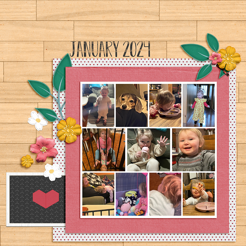 January 2024 Favorites