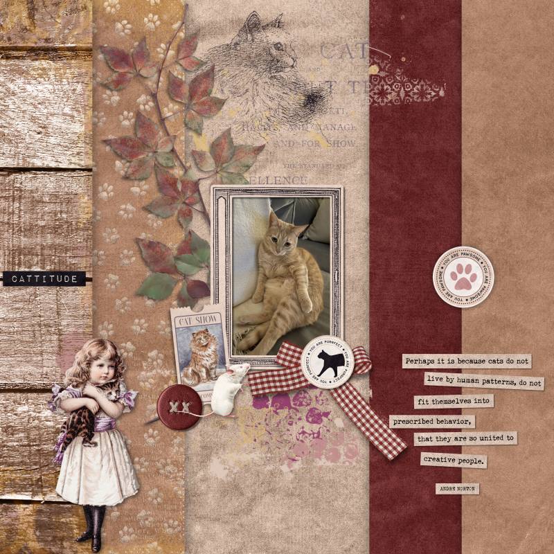 January 21 - Kit Connections