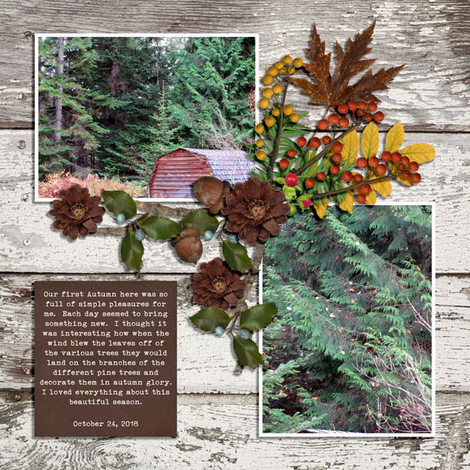 JANUARY 21 - ORGANIC BOTANICALS CHALLENGE