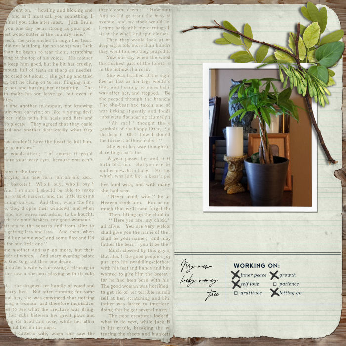January 21- Organic Botanicals