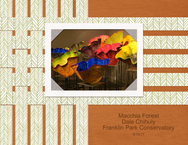 January 23: Playing with Paper Strips - Macchia-Forest
