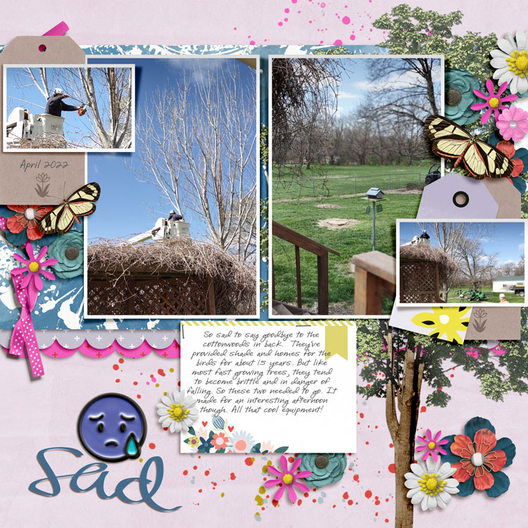 January-23-Sad