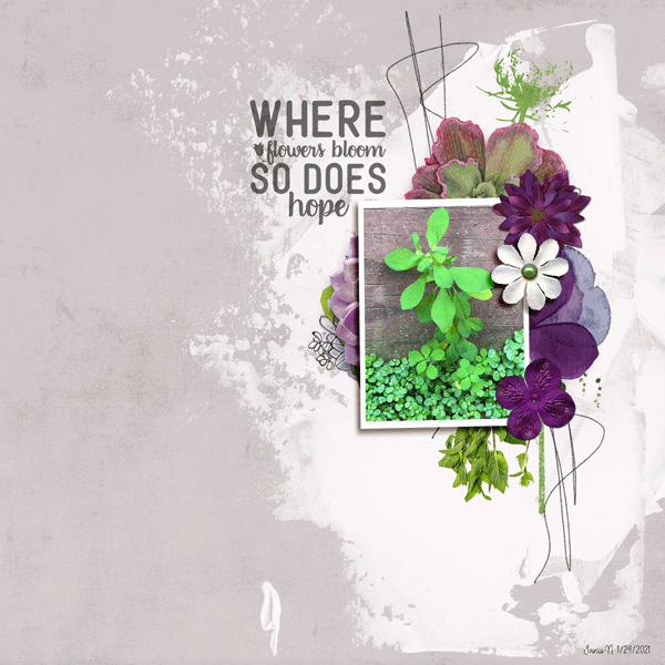 January-24_Color-Wheel-Complementary-Colors_where-flowers-bloom