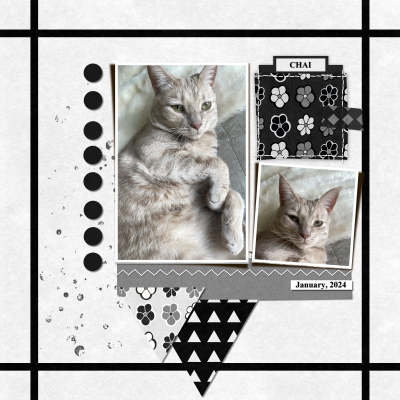 January 25 - Combine Two Templates
