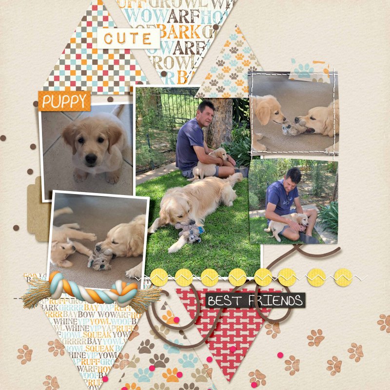 January-25-Template-mashup