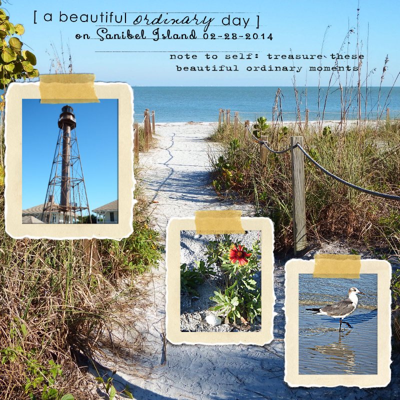 January 25: Use photo as background