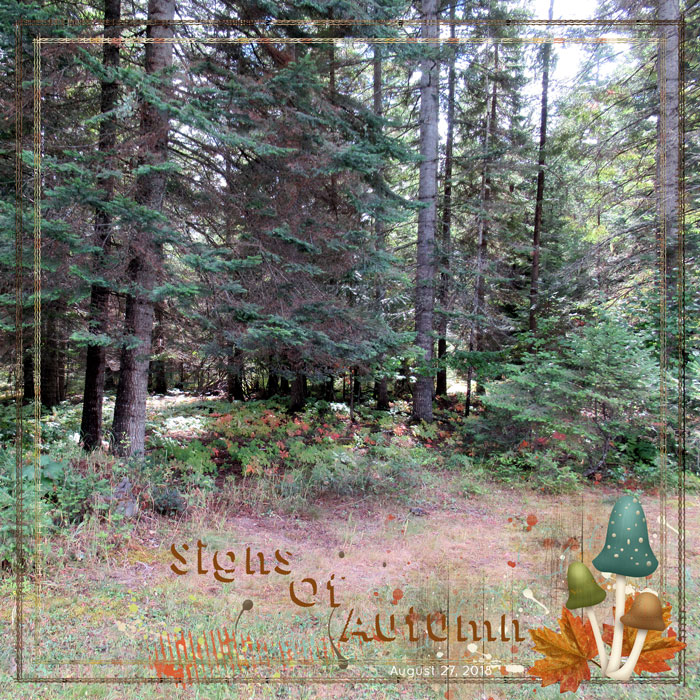 JANUARY 25:  USE PHOTO AS BACKGROUND