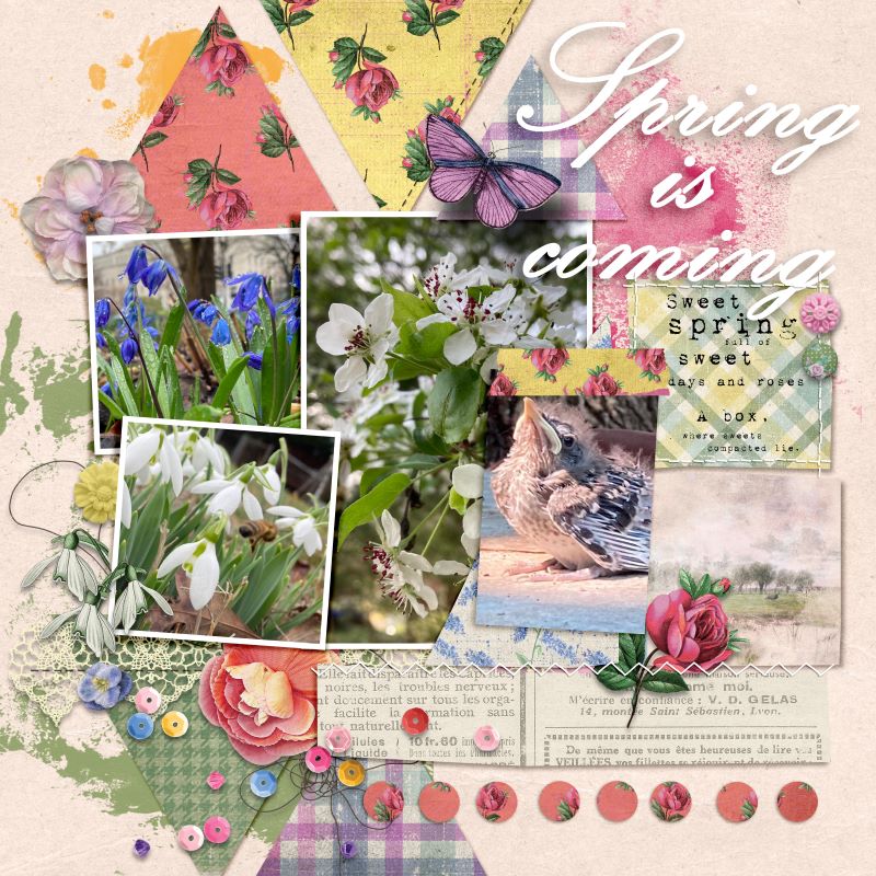 January 25_Combine Two Templates
