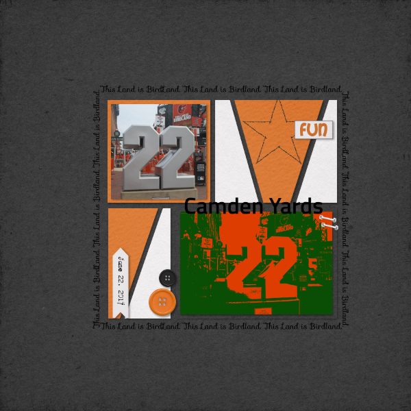 January 26-Duotone Technique {Camden Yards}