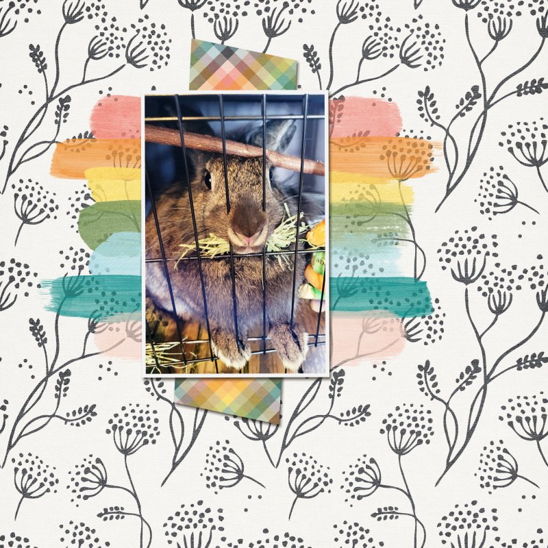January 28: Paper and Paint