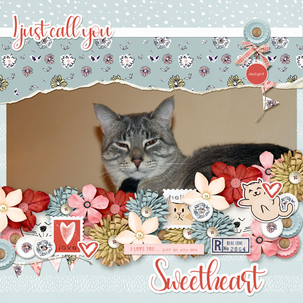 January 28_Sweetheart