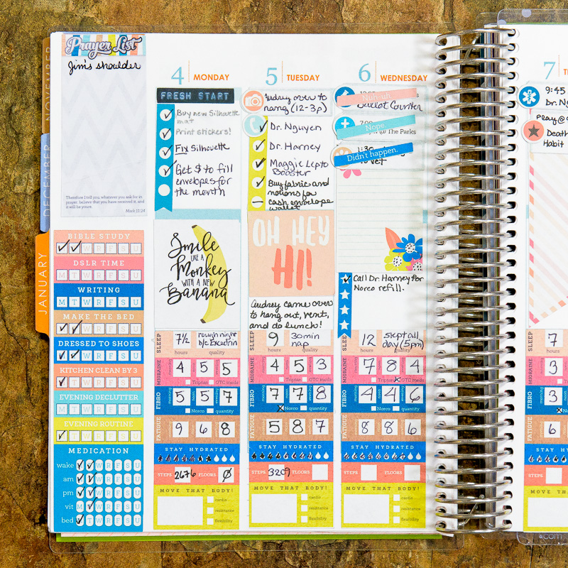 January 4-6 Planner Daily View