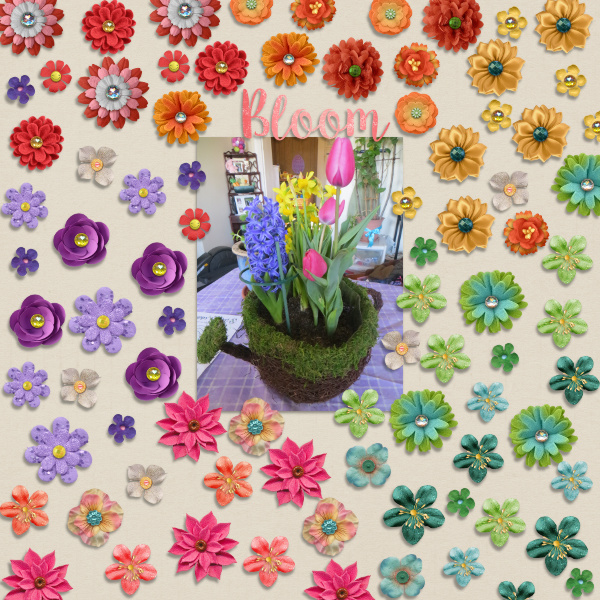 January 4 - Flower Power