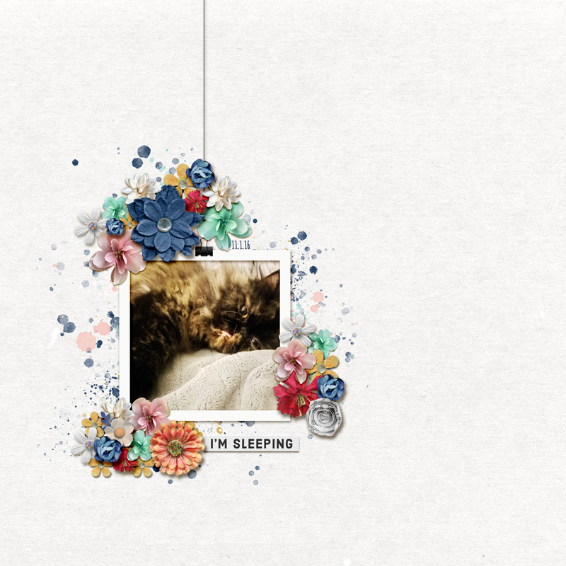 January 4 - Flower Power