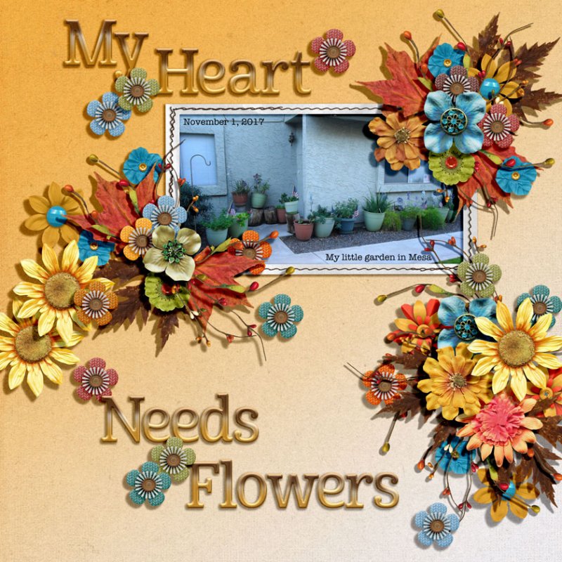 JANUARY 4 - FLOWER POWER