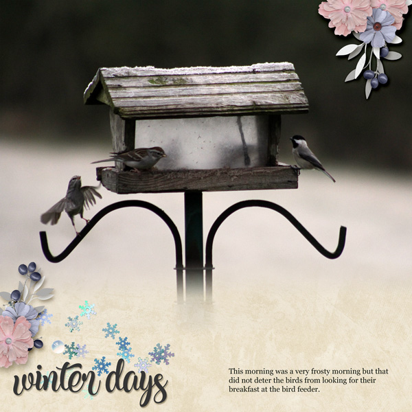 January 4 - Photo Blending