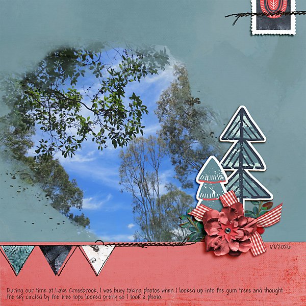 January 4_Don't Judge a Book by Its Cover_Gum Trees