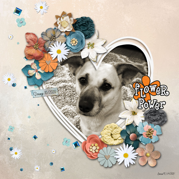 January 4_FlowerPower_daisy