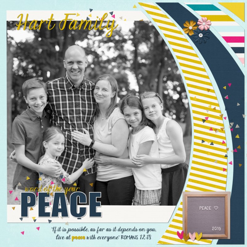 January 5 - Inspiration Board Challenge