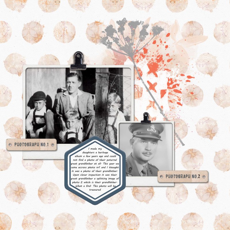 January-6-Connections