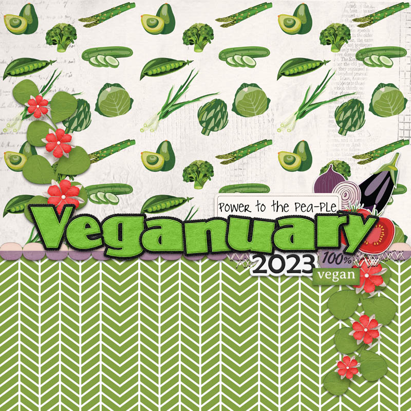 January 6 Photoless - Veganuary