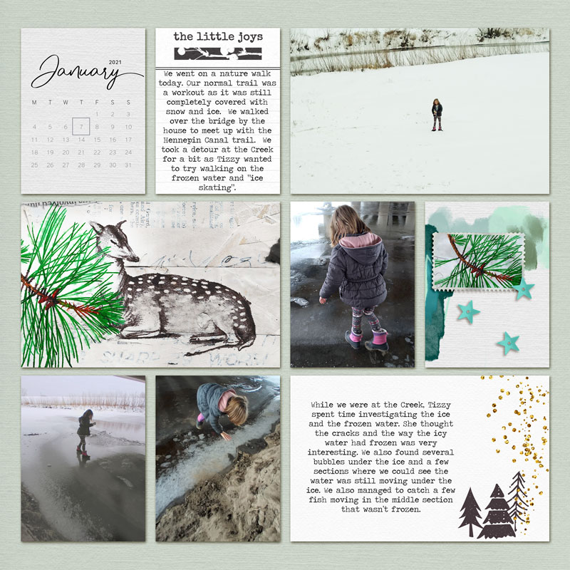 January 7 - Project Pages