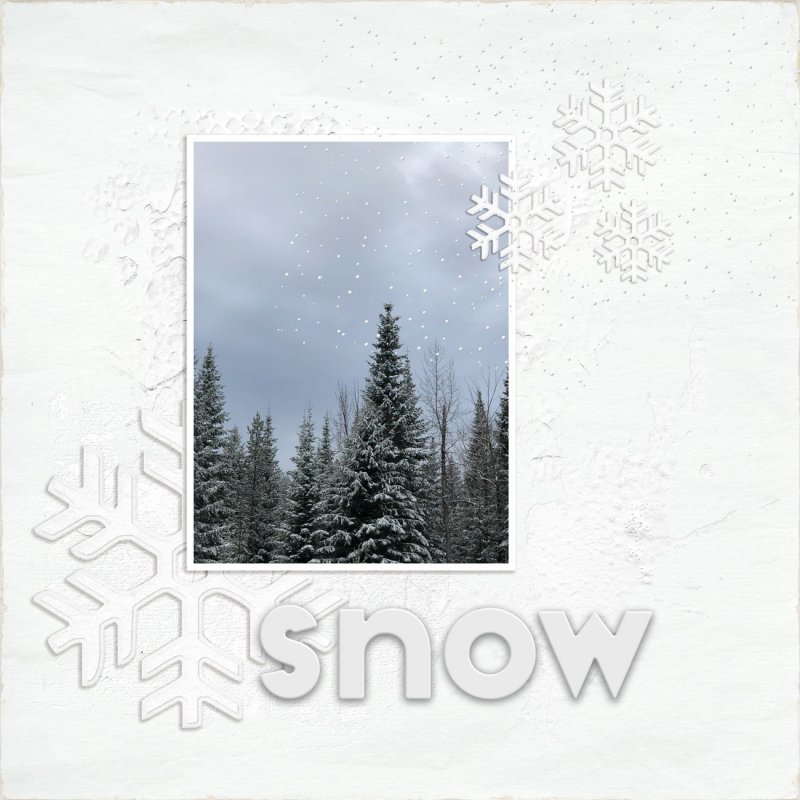 JANUARY 9:  WHITE ON WHITE PAGE
