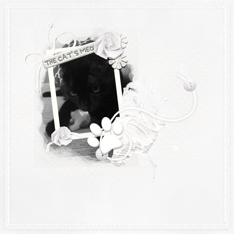 January 9-White On White