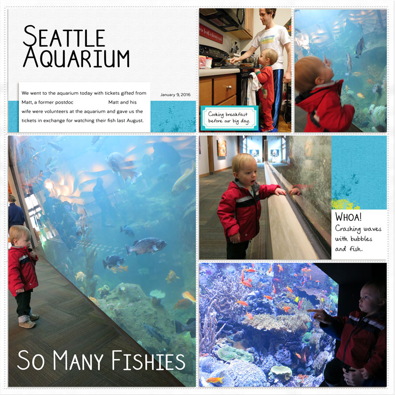 January Aquarium page 1
