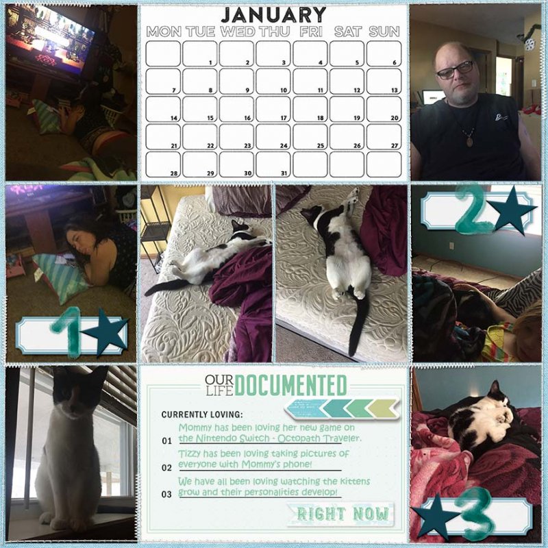 January at a Glance