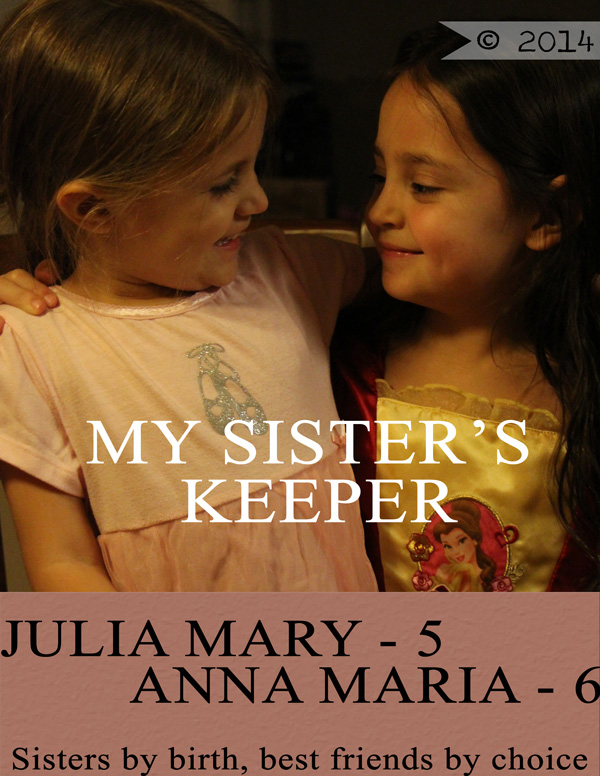 January MOC 2014 - #5, Book cover