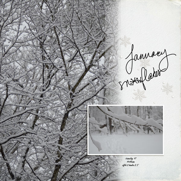 January Snow - DSD Scraplift challenge