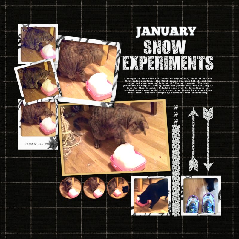 January Snow Experiments