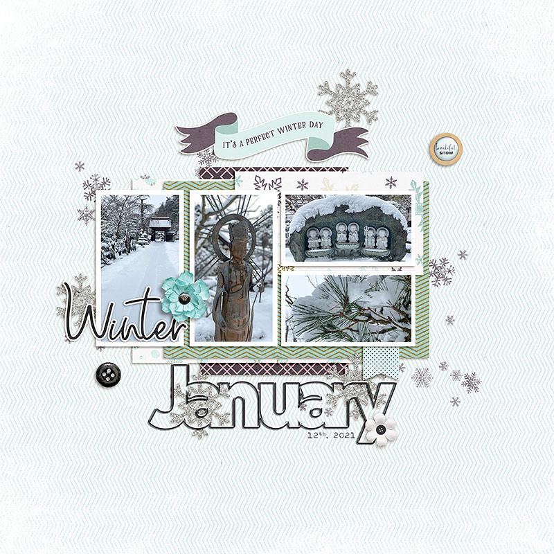 January Snow