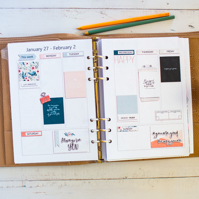 January Week 5 Planner