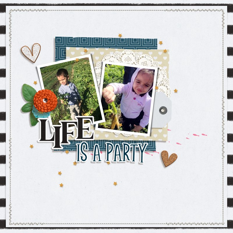 January_29  paper to digi