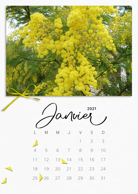 Janvier 2021